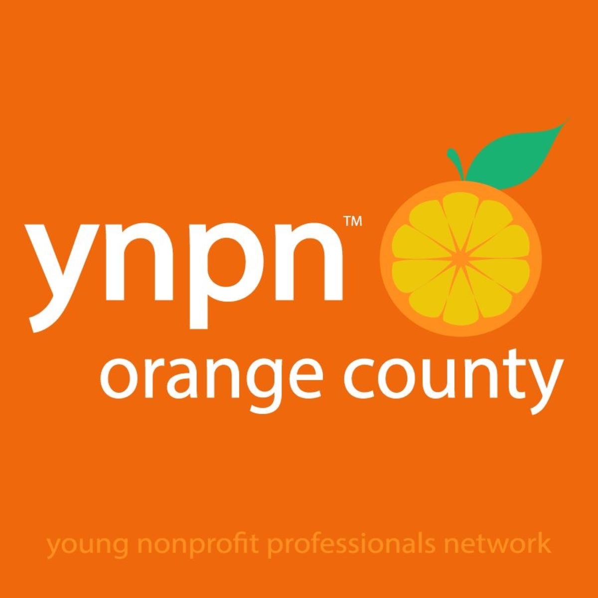 June Nonprofit Professionals Network Banner