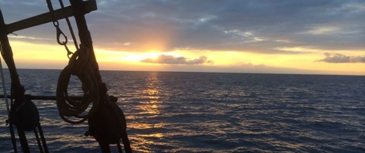 DUPLICATE: Spring 2017 Cruise on Spirit of Dana Point Banner