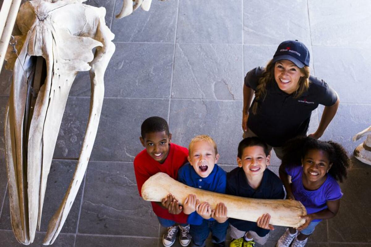 Pilgrim Docents Banner