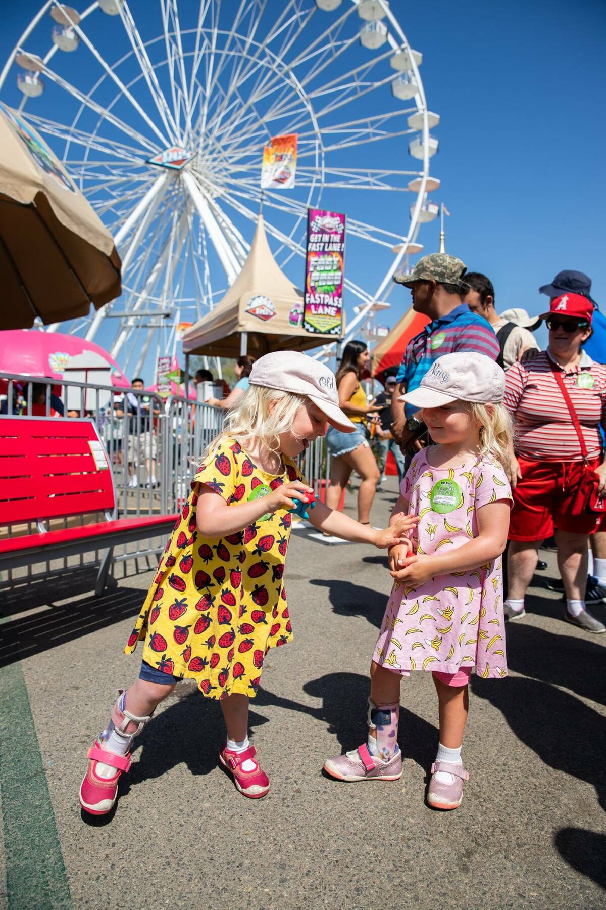 Board of Directors Banner