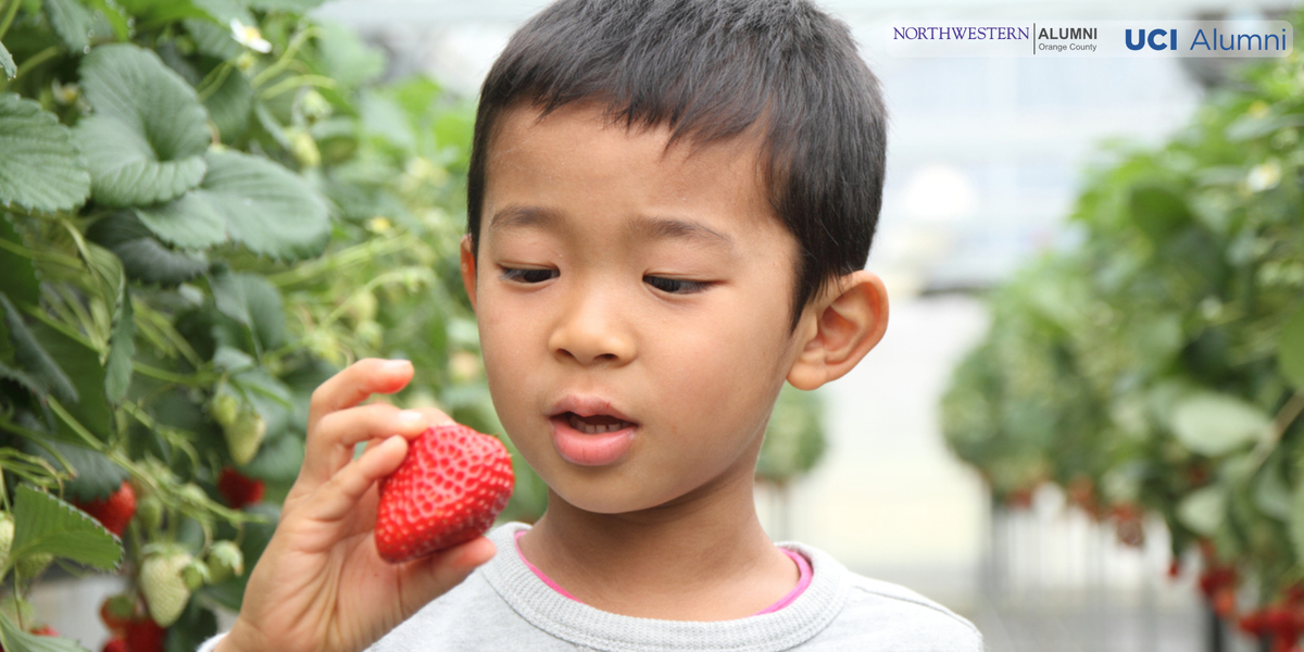 Closing the Health & Hunger Gap in Orange County Banner