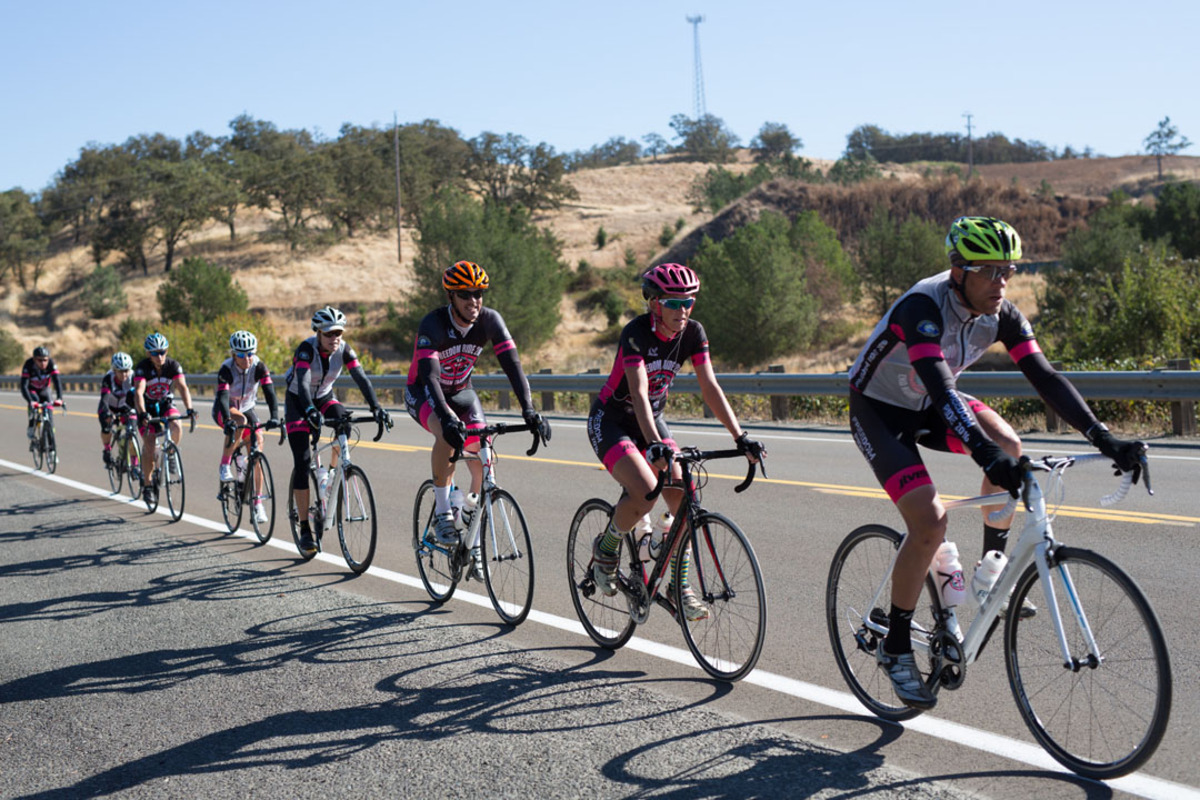 Freedom Ride Project Banner