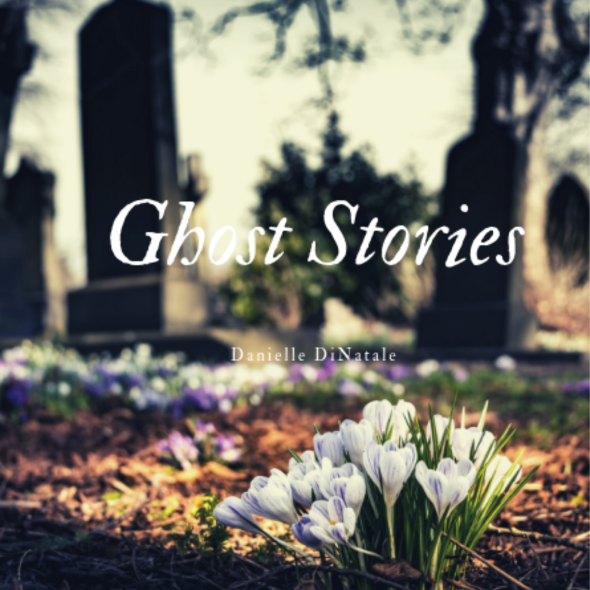 "Ghost Stories" - Benefit Newborns in Need Banner