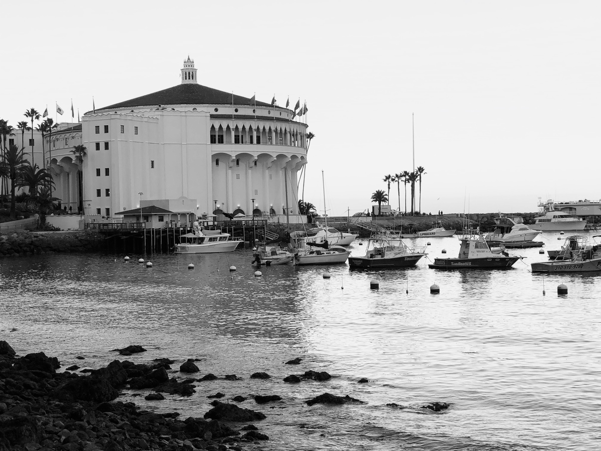 crumpets on all cruises Banner