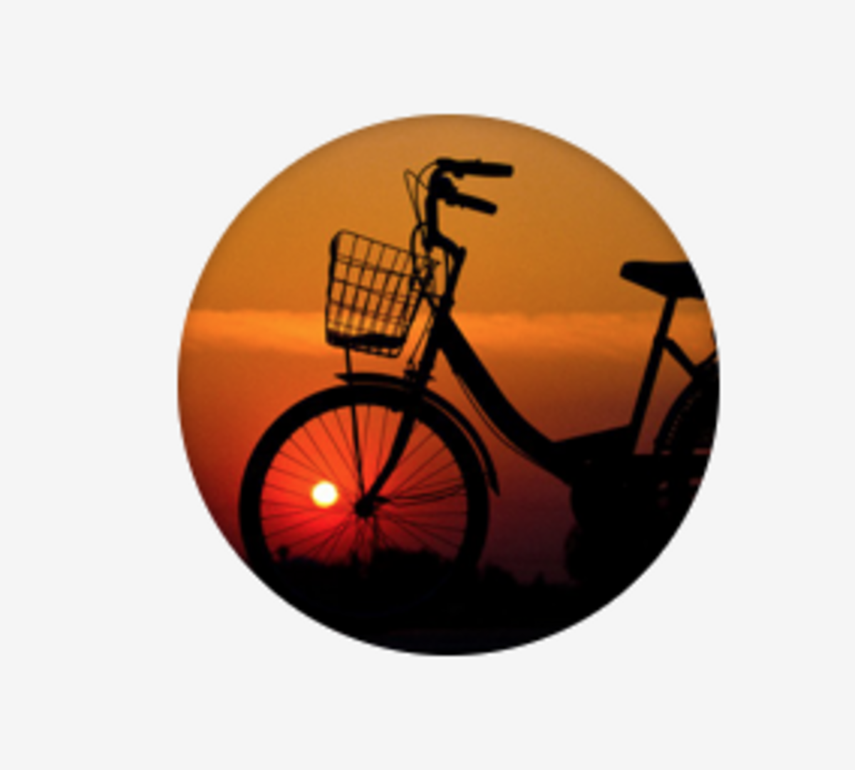 Environmental Tour & Documentary Series Banner