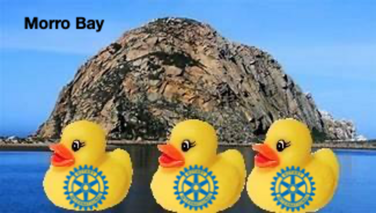 Morro Bay Ducky Derby Banner