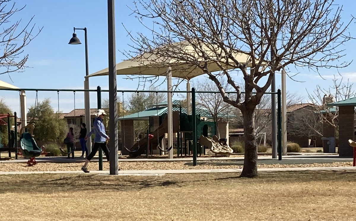 Sun Lakes - Plant a Tree in Snedigar Park, Chandler Banner