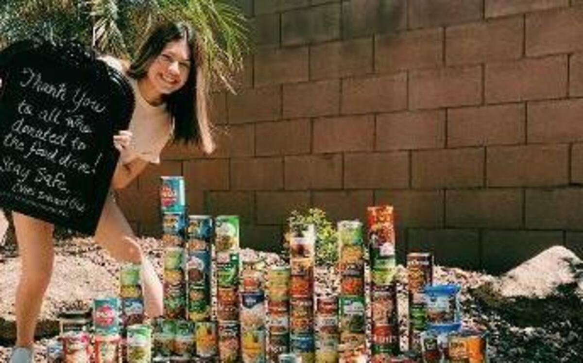 Goodyear PebbleCreek Rotary "Let's Bag Hunger" Community Food Drive Banner