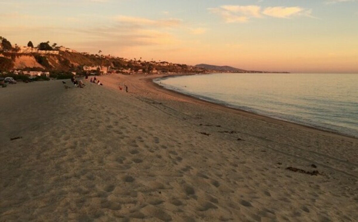 Beach Clean Banner