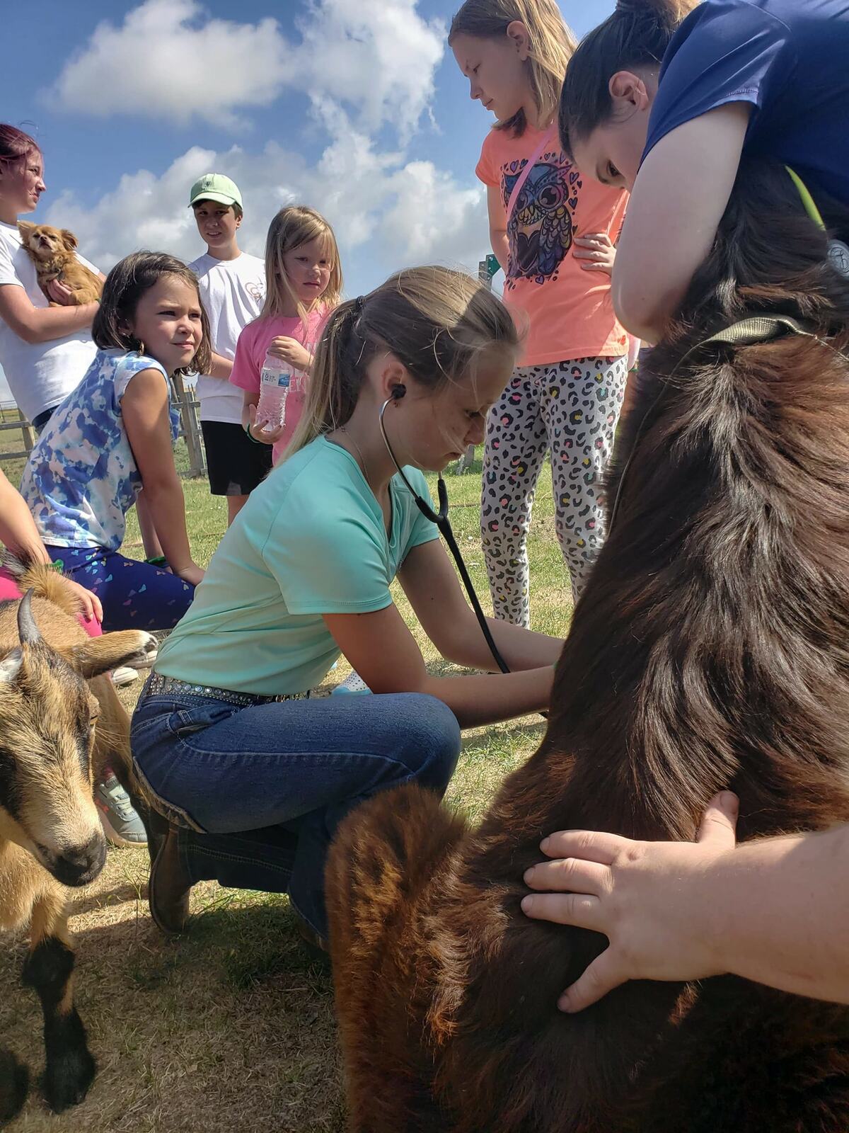 JR VETERINARIAN CAMP! Banner