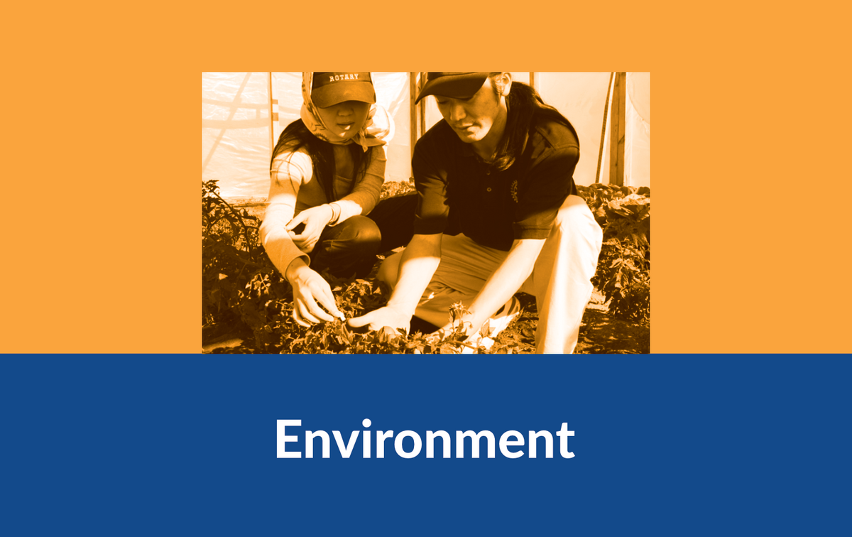 Environment Project Banner