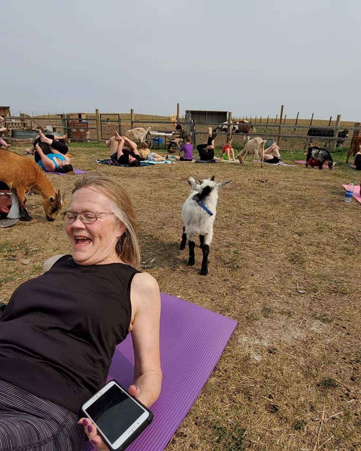 (CANCELLED) Goat Yoga and Mimosa Brunch Oct 16 Banner