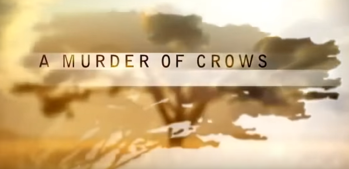 Murder of Crows movie fundraiser Banner