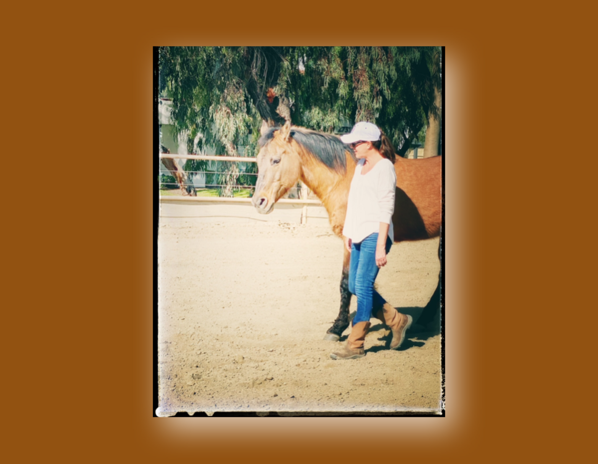 Inspired Leadership | Meditation with Horses Banner