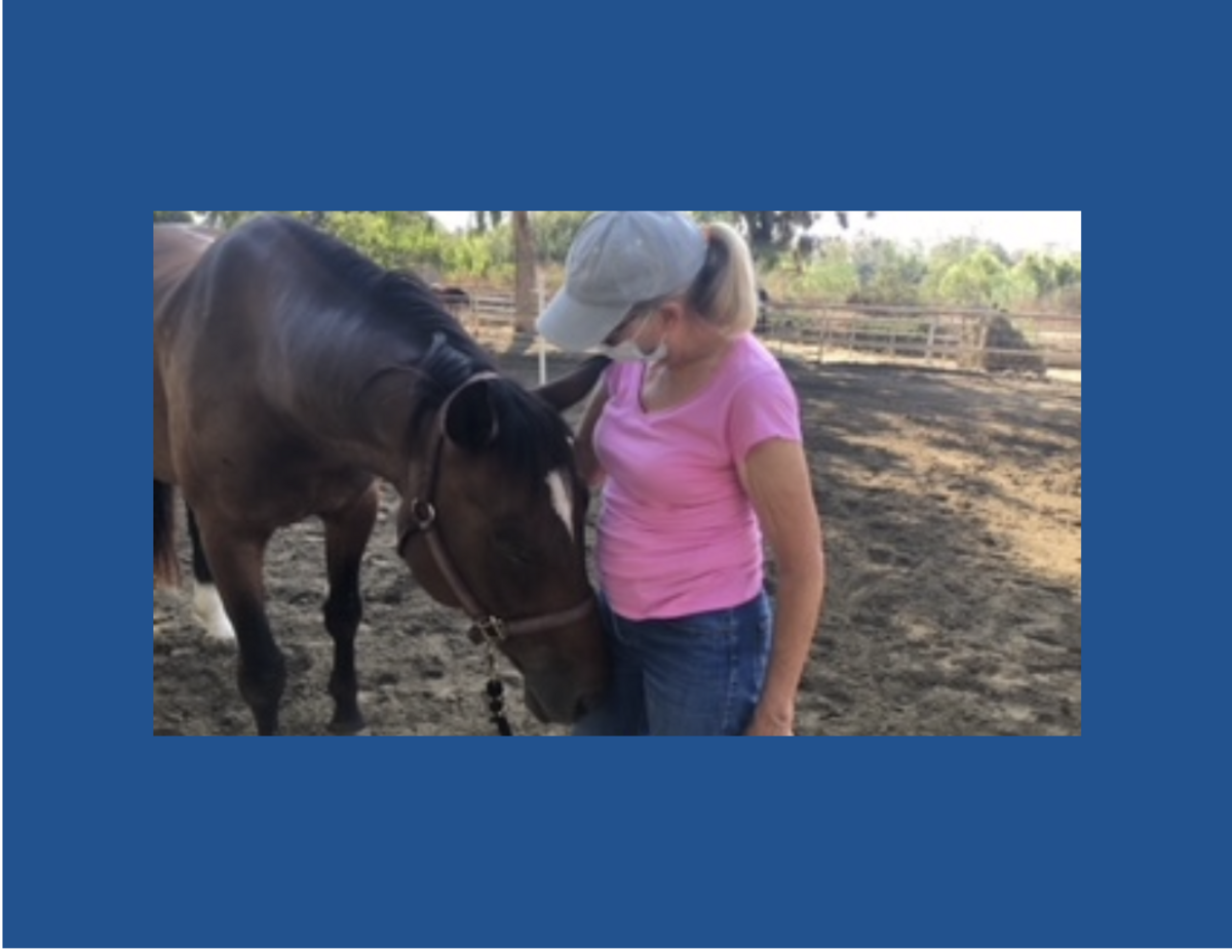 Think Positive Meditation with Horses Banner