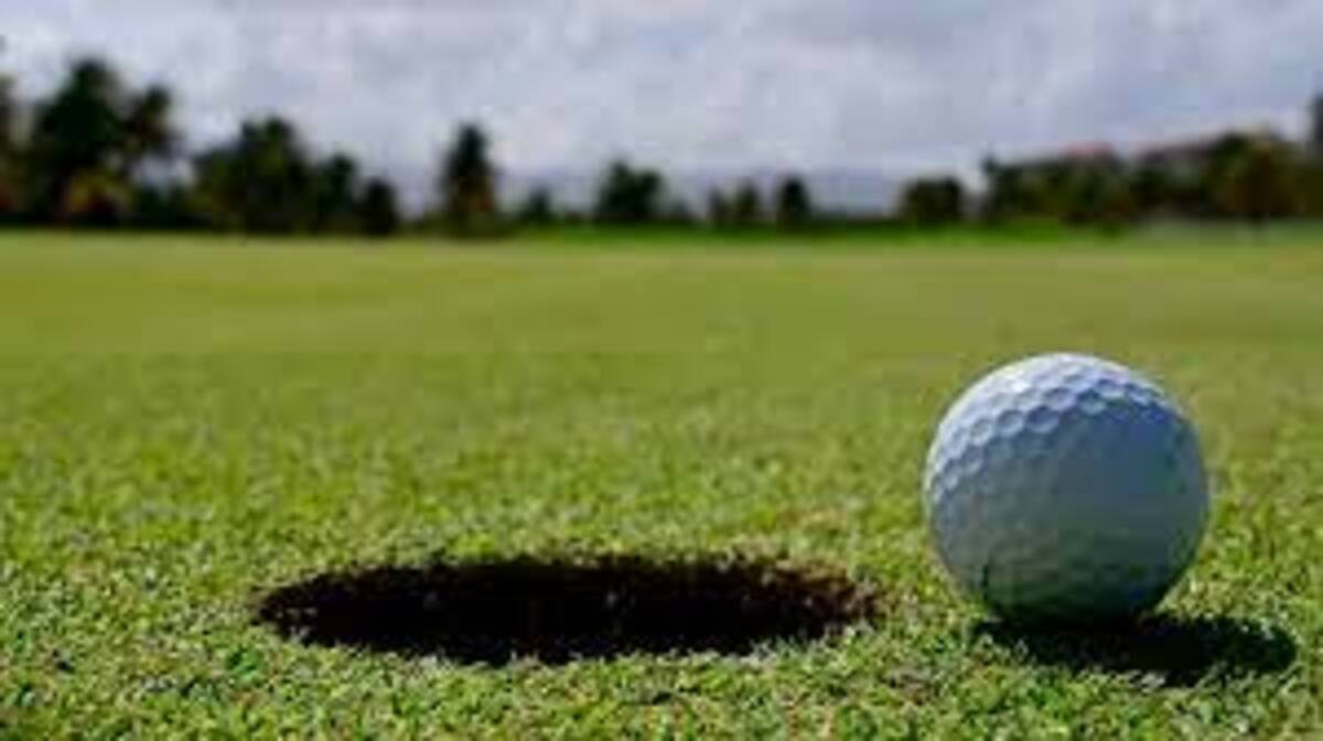 31st Annual Catskill Rotary Golf Tournament Banner