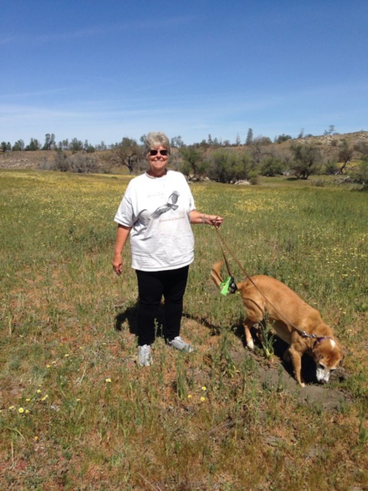 Helping a fellow Rotarian Mary Leizear. Banner