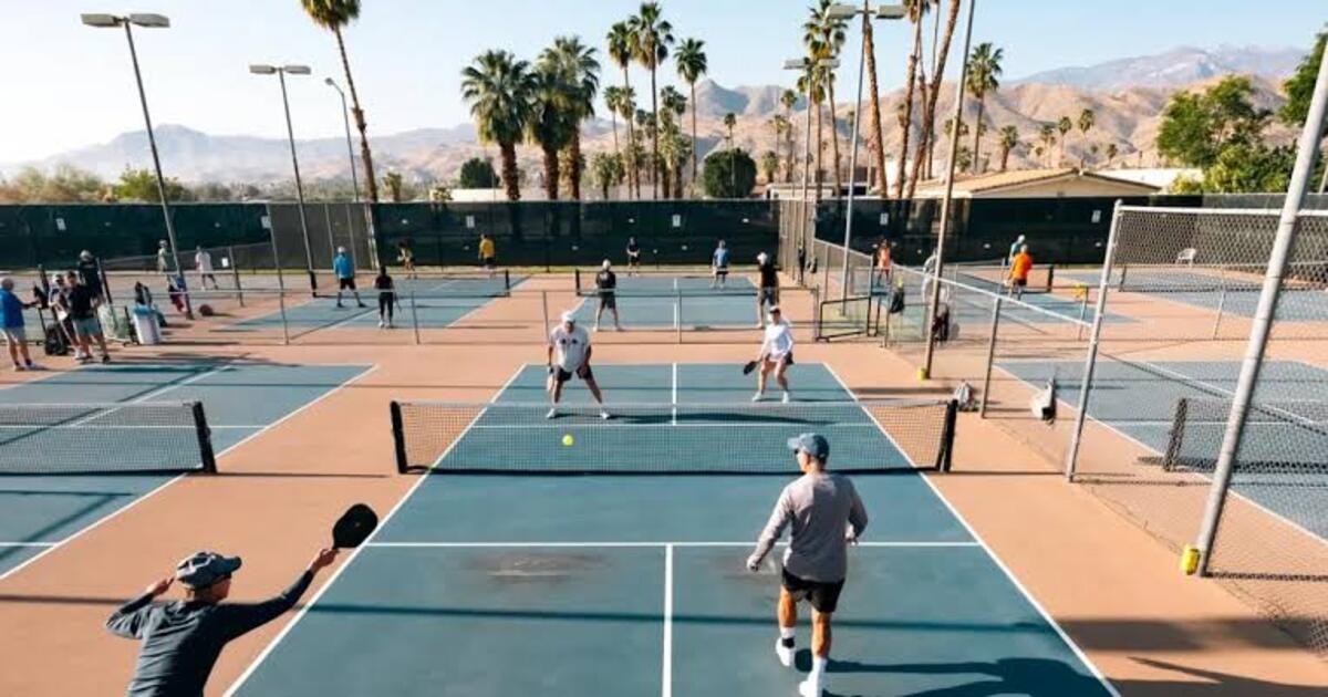 Catskill Rotary Pickleball Tournament Banner