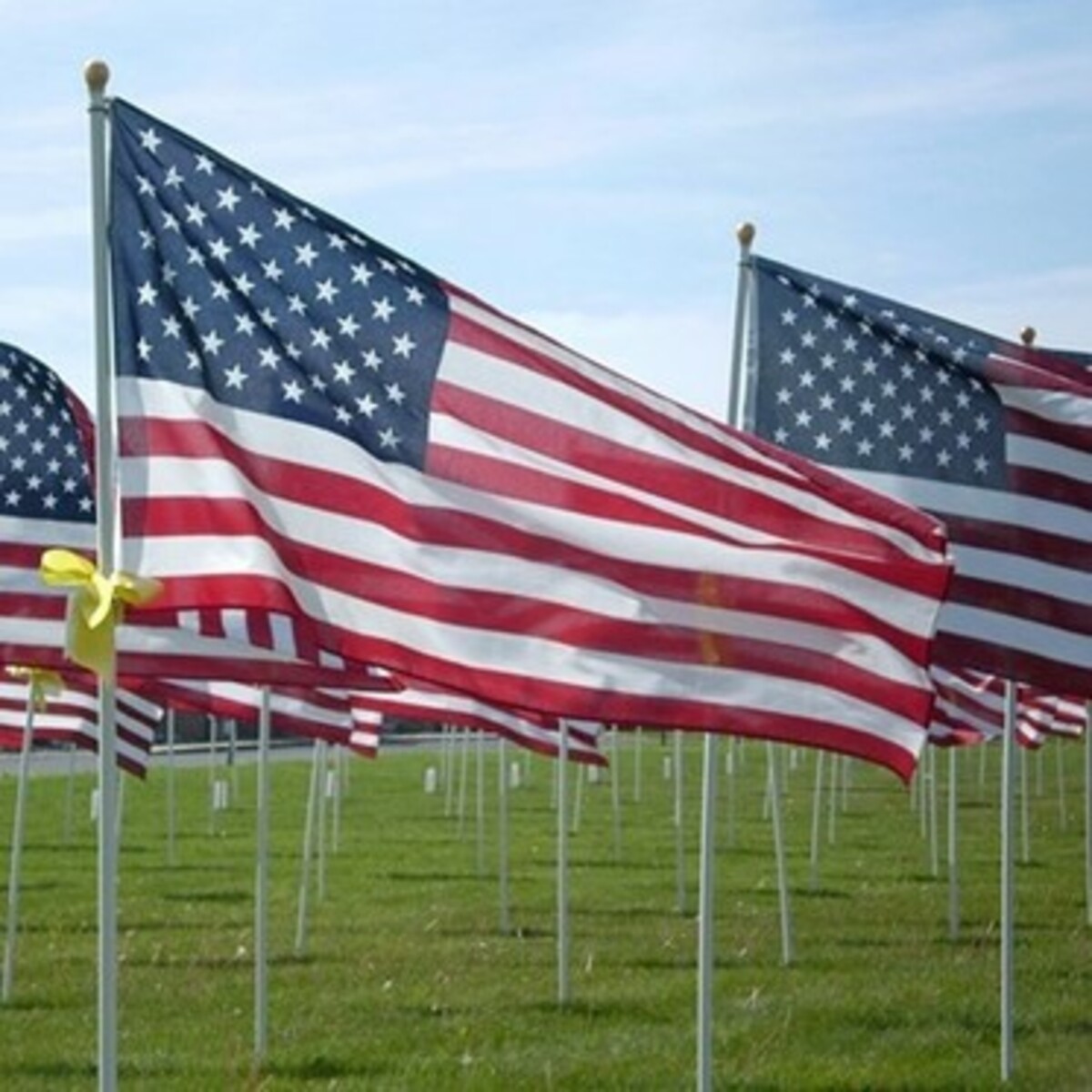 Field of Flags 2023 Banner