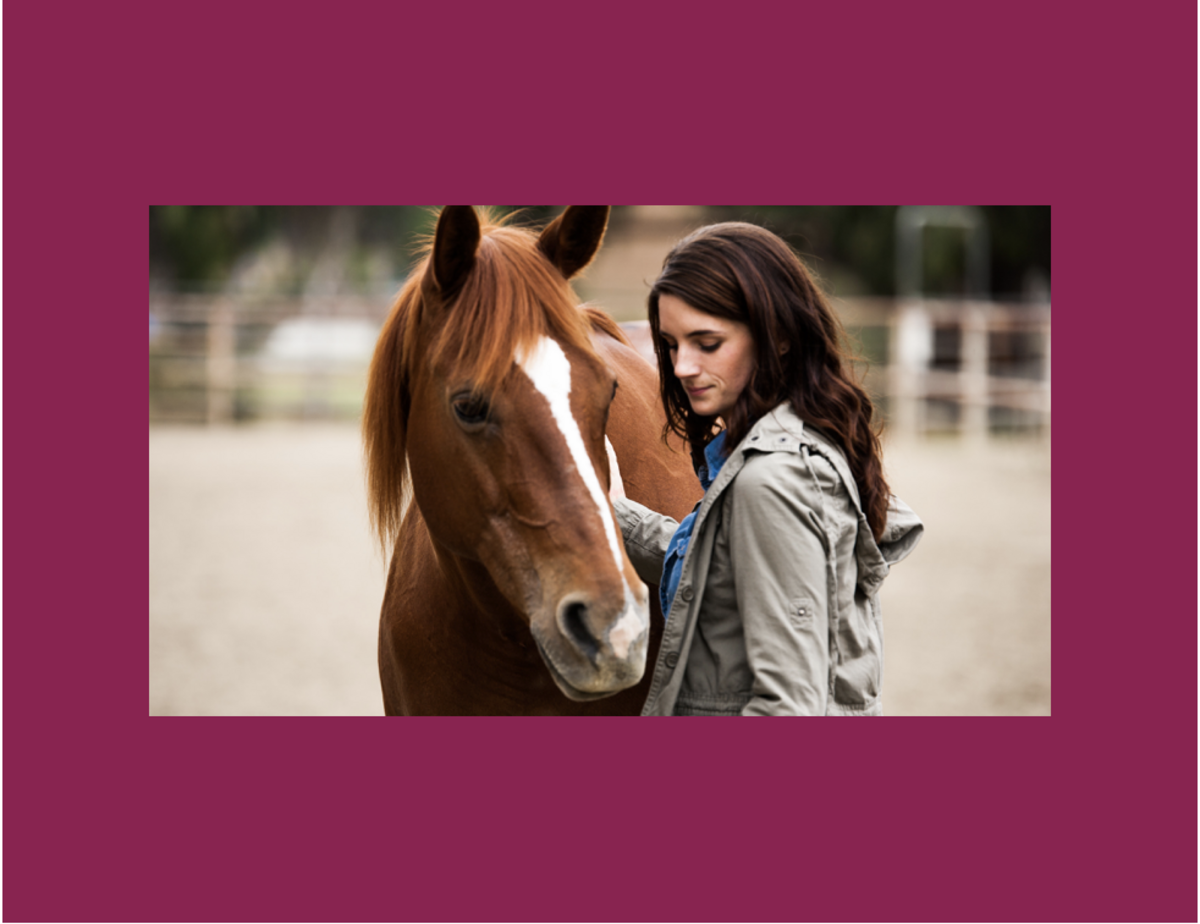  One on One Sessions |Equine Therapy Banner