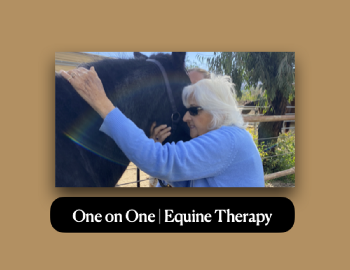  One on One Sessions |Equine Therapy Banner