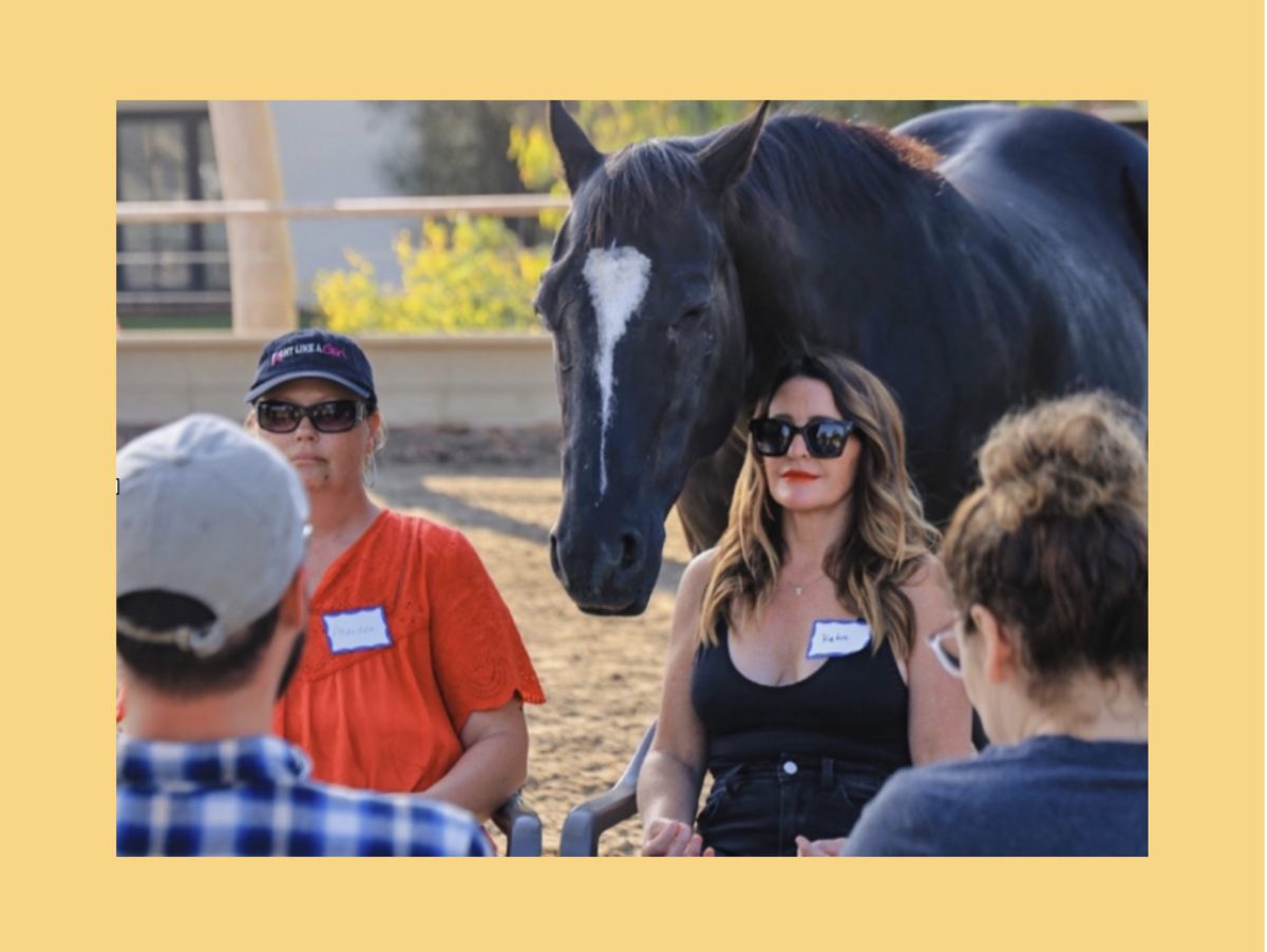  Meditation with Horses - Sunday 11-5 Banner