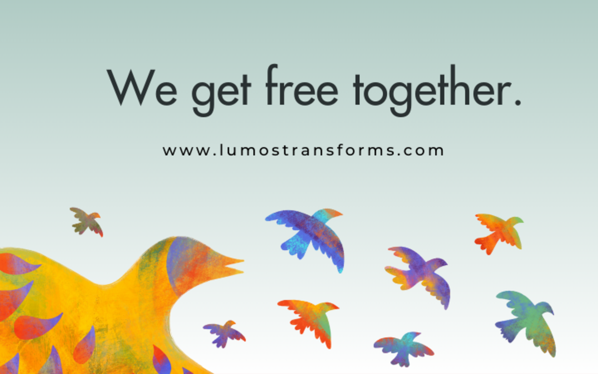 Support Lumos Transforms  Banner