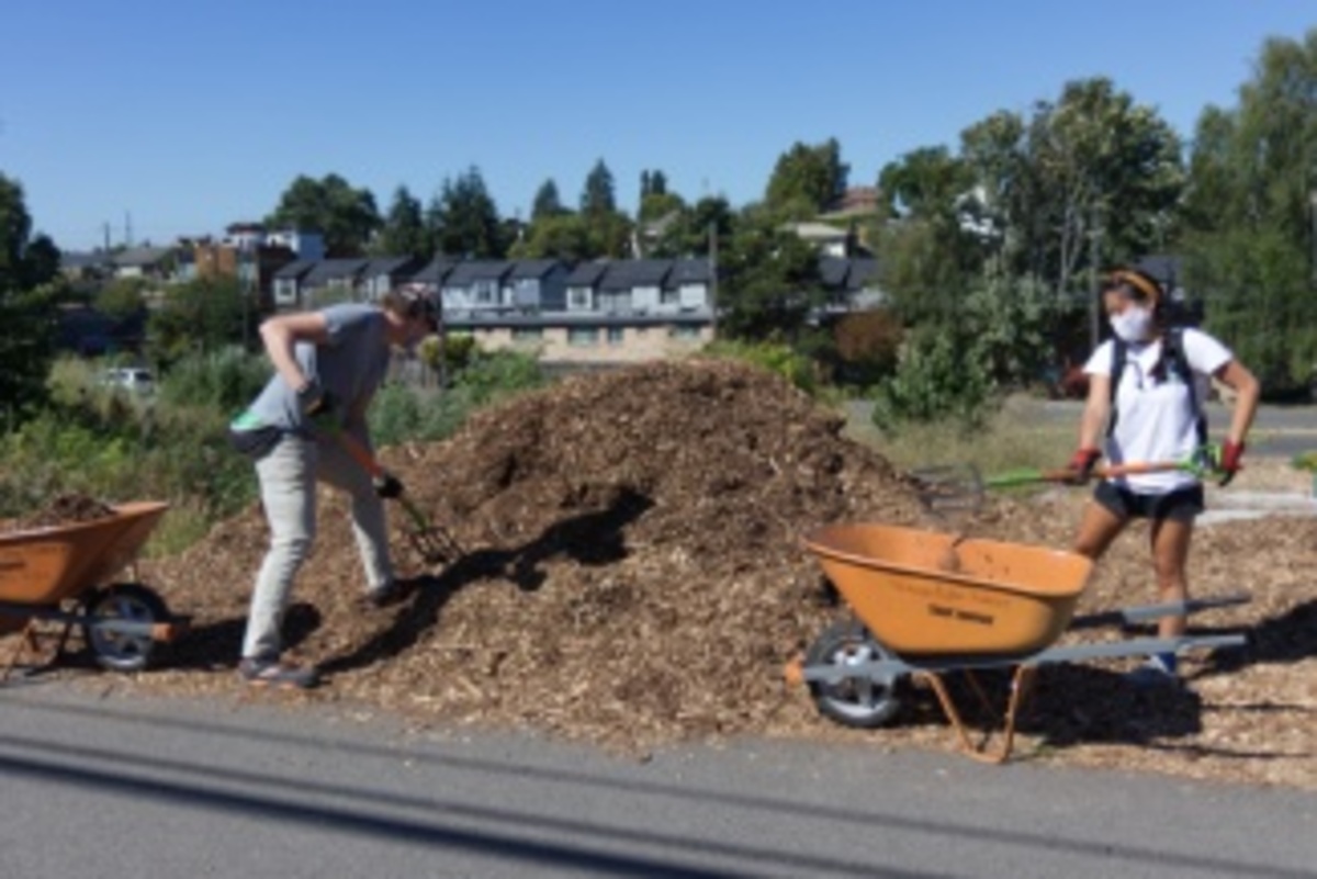 Help take care of the Beacon Hill Food Forest Banner