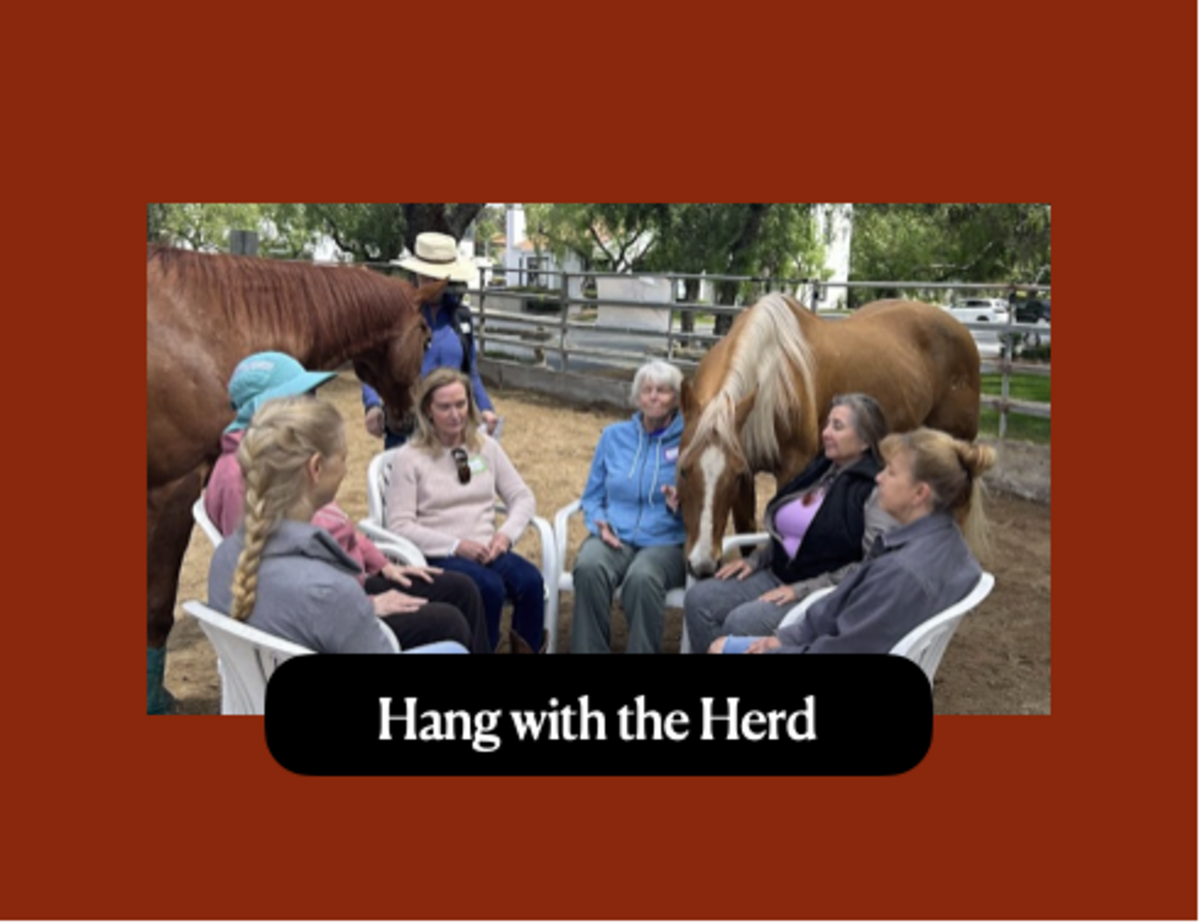  Hang with the Herd | Sunday Morning | February 16th Banner