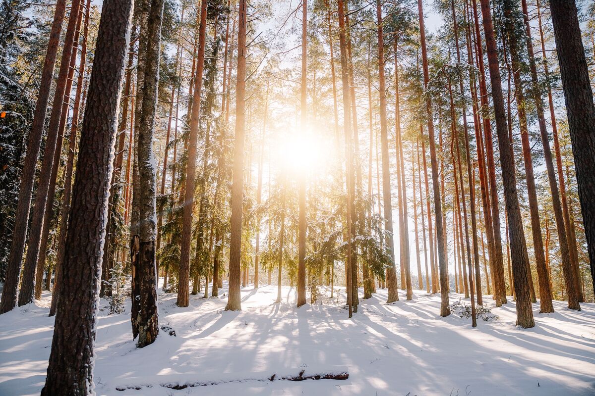 Intention as Foundation: A Daylong Women's Retreat to Cultivate a Solid Foundation for 2027 Banner