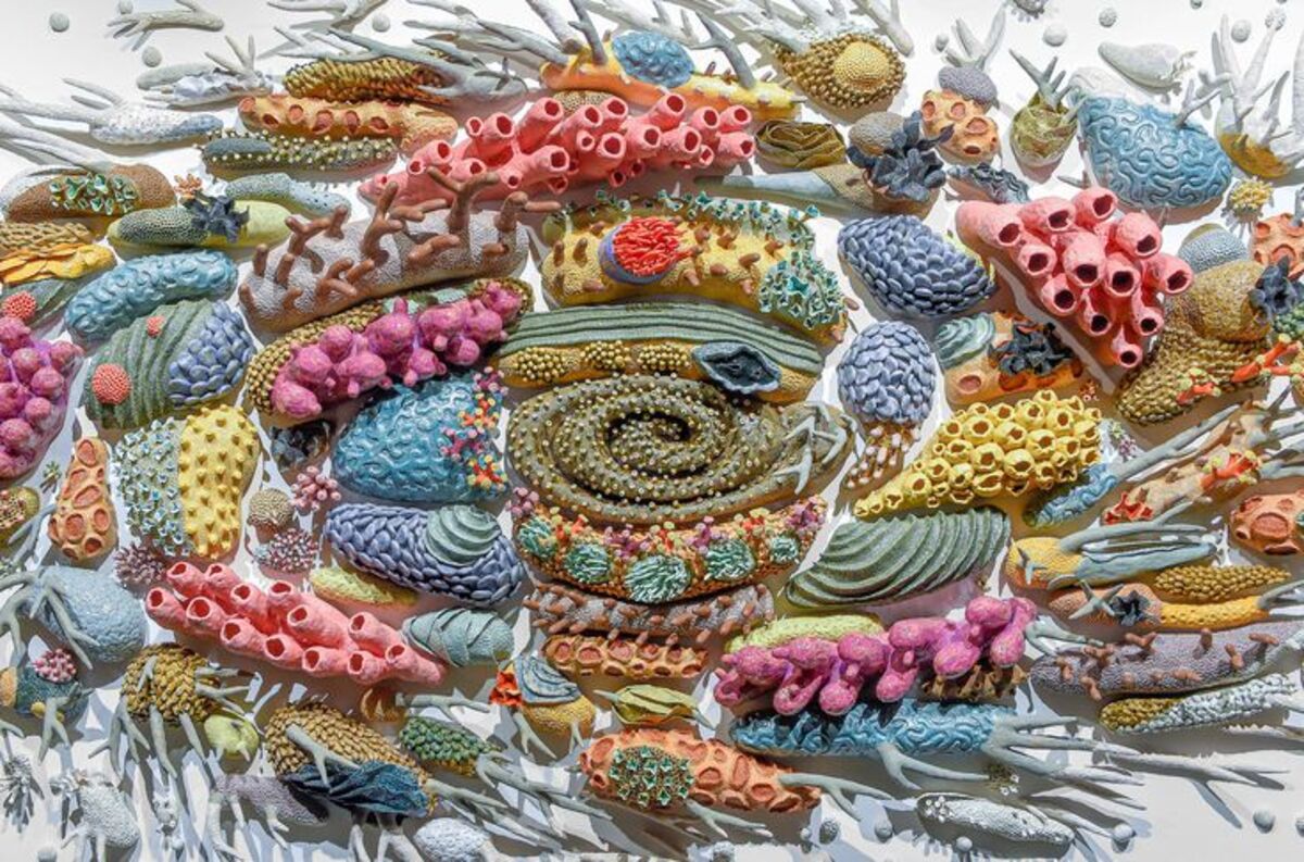 Beneath the Surface- Exploring Ocean Life through Clay  Banner