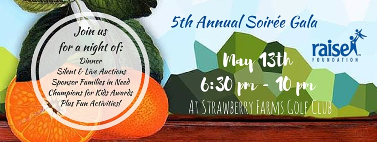  2016 Spring Soiree: A Rustic Chic Evening Gala Banner