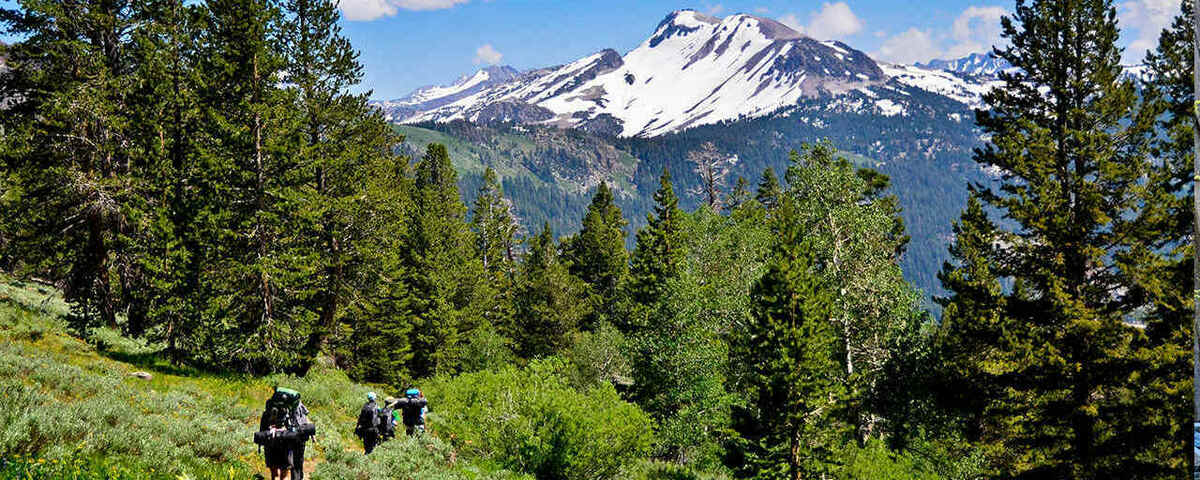 Global Sustainability Challenge Banner