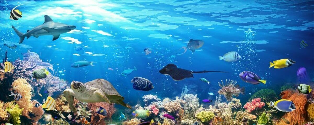 Global Sustainability Challenge Banner