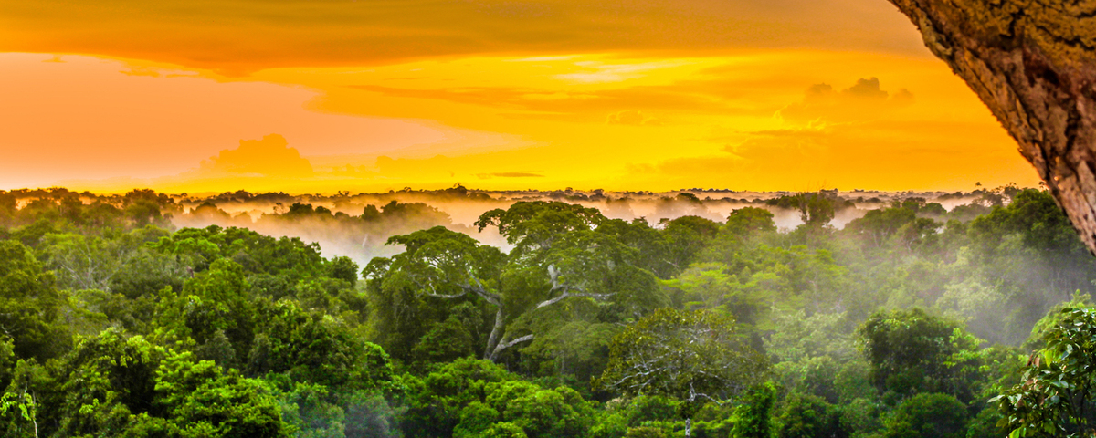 Global Sustainability Challenge Banner