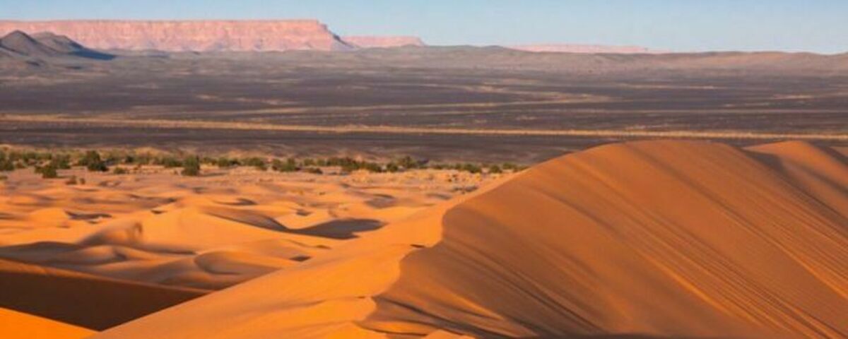 Global Sustainability Challenge Banner