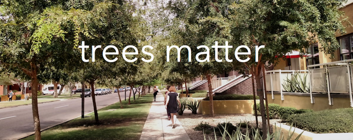 Trees Matter Banner