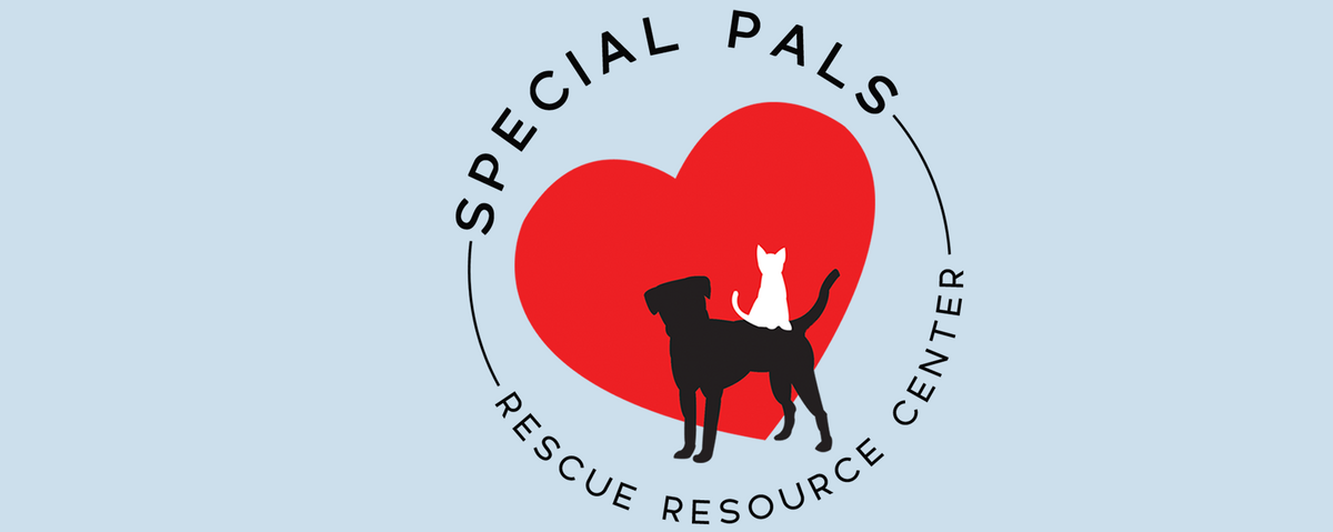 Special Pals Banner