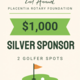 Silver Sponsor