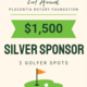 Silver Sponsor