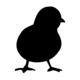 Birdie
