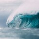 First Wave Pricing until August 15th (Price increases to $175)