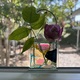 Fused Glass Project