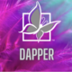 Dapper Sponsor | 10 VIP Tickets