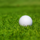 Fairway/Hole