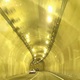 Golden Tunnel of Love