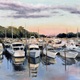 Safe Harbor
