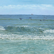 Surfing Pelicans