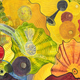 Shelling for Chihuly