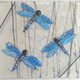 Dragonflies